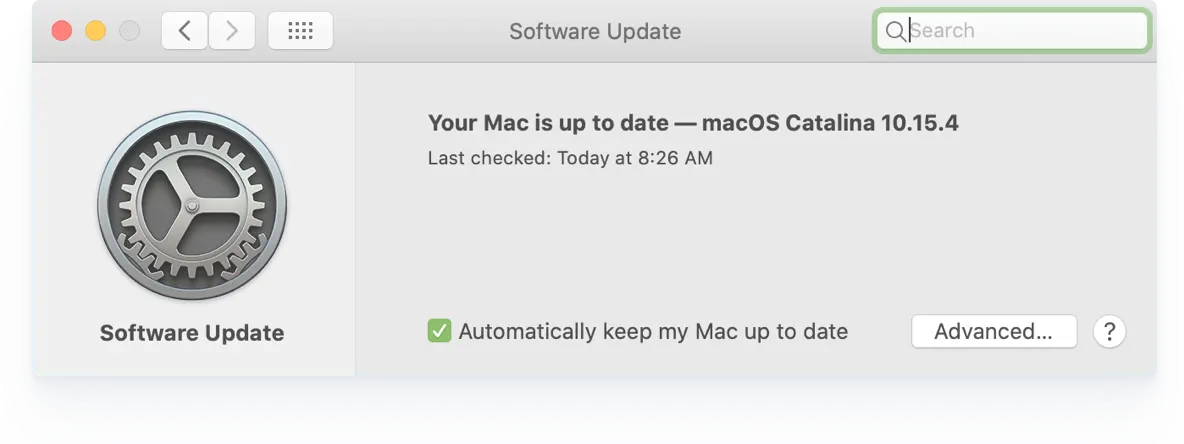Screenshot of a software update window for macOS